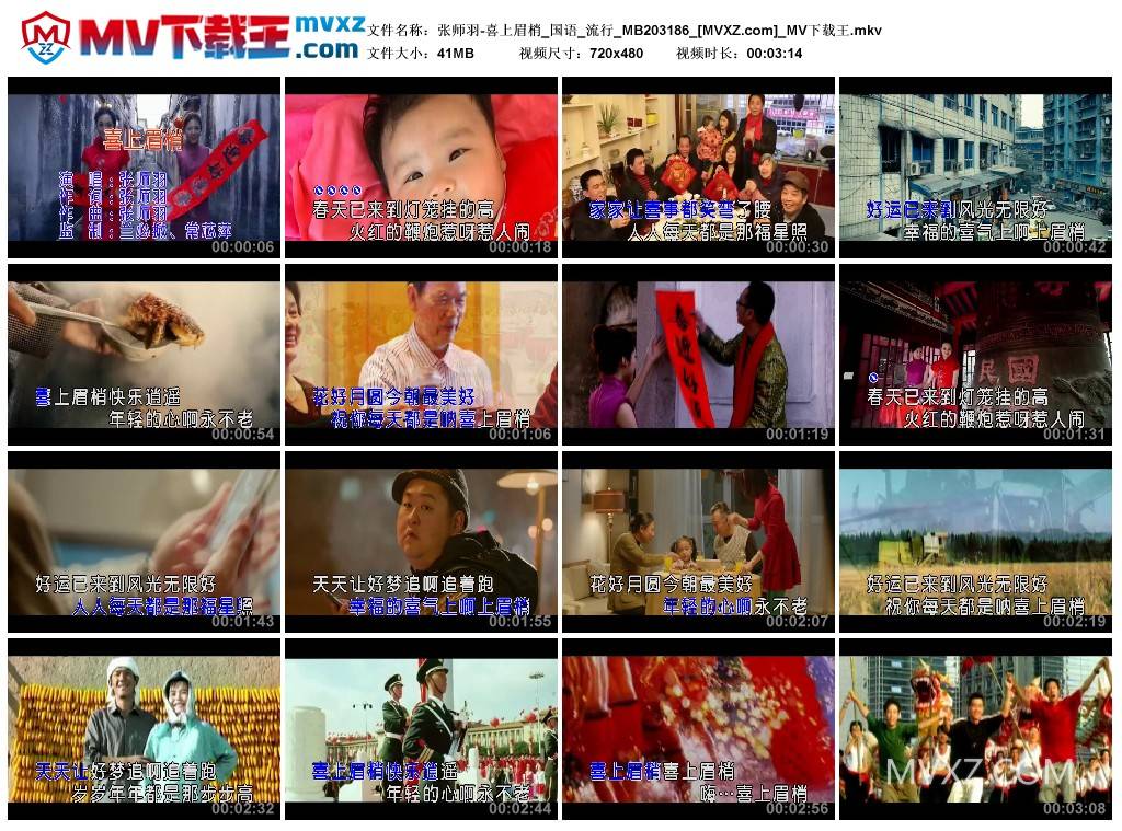 张师羽-喜上眉梢_国语_流行_MB203186